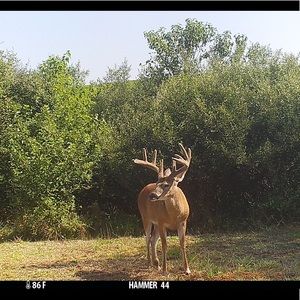 Meet your Posher, Reid